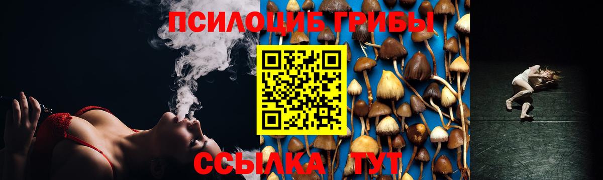 Галлюциногенные грибы Psilocybe  Псилоцибиновые грибы Magic Shrooms  Альметьевск  Вход с VPN 