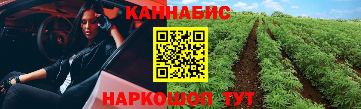 Каннабис White Widow Альметьевск